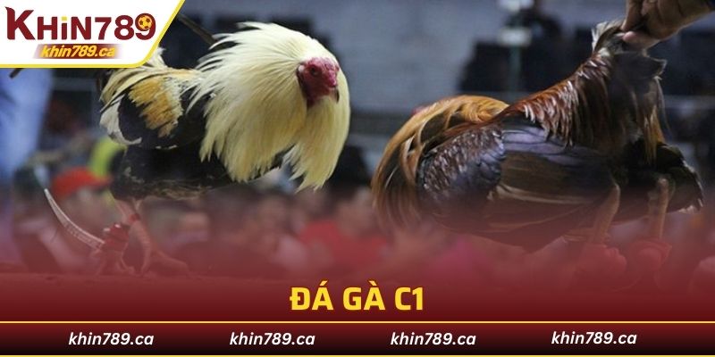 đá gà C1