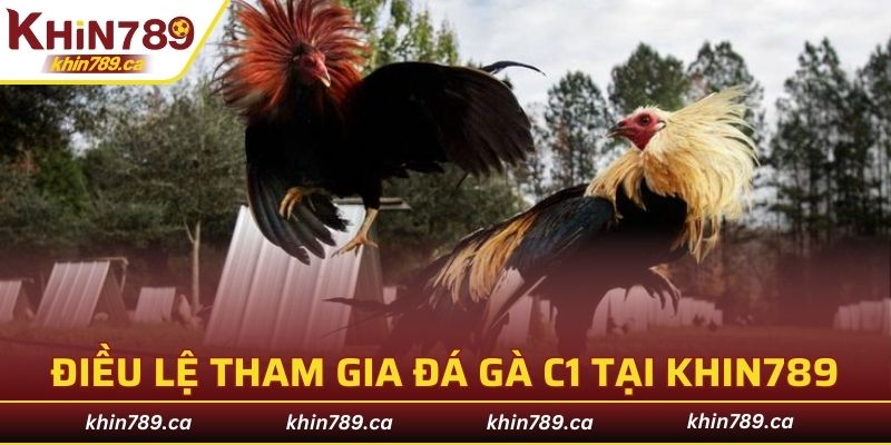 Điều lệ tham gia đá gà C1 tại KHIN789